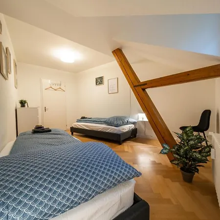 Appartement Old Town In The Heart Of With Garden